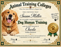 Who Really Trained Who? A Personalized Diploma for Dog Lovers